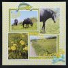 140518_140529_lost_among_the_buttercups.jpg